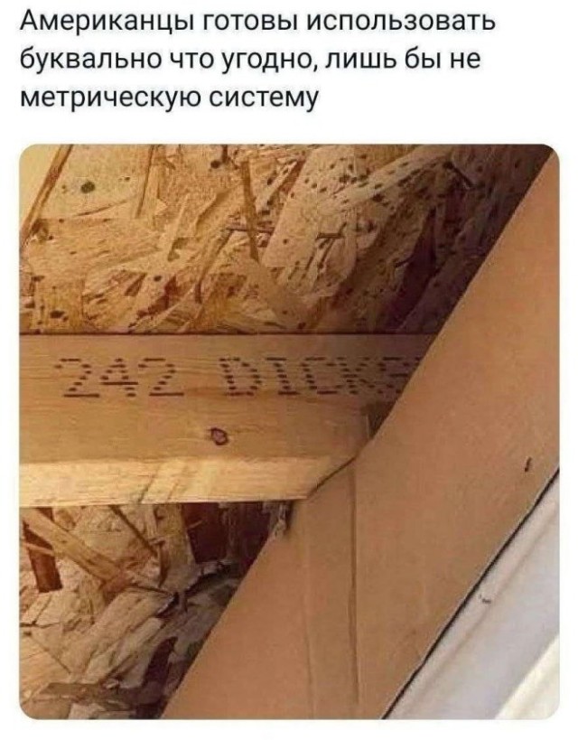 Картиночки, баянчики 23 декабря