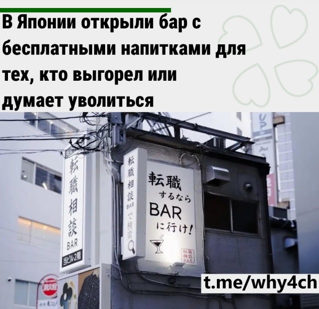 В Японии открыли бар с бесплатными напитками для тех, кто выгорел или думает уволиться
