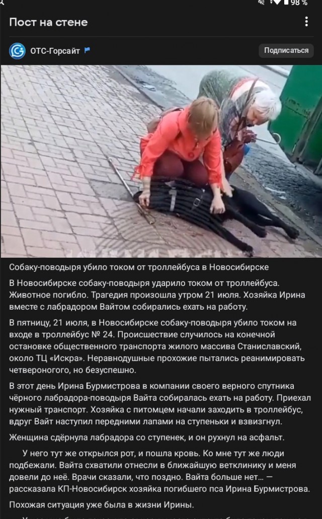 Грустный важный пассажир⁠⁠