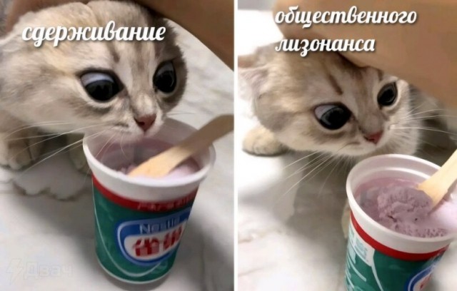 Картиночки, баянчики 19 февраля