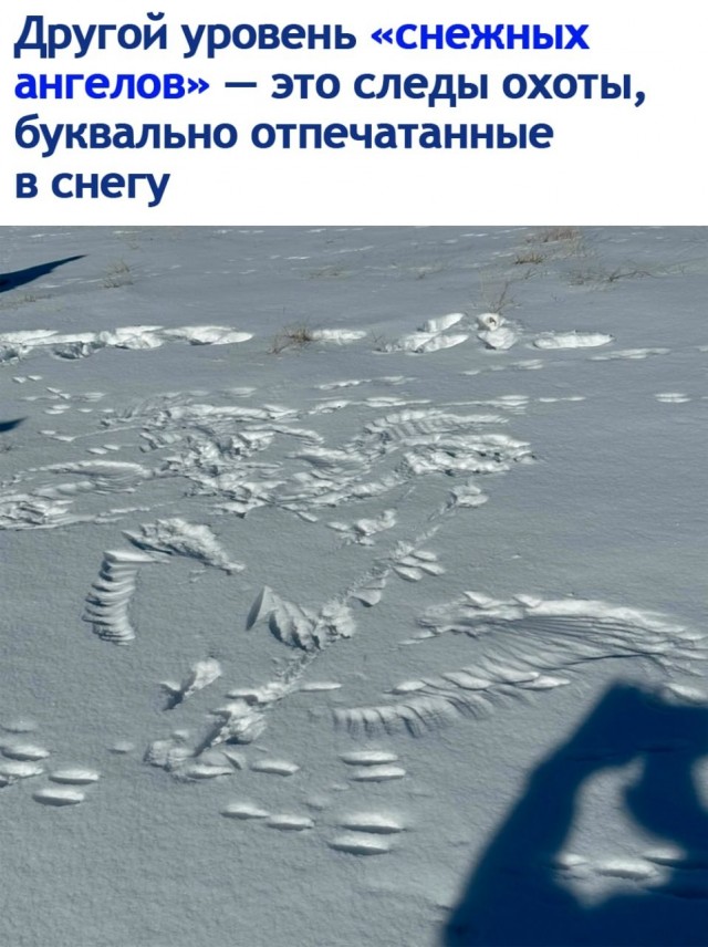 Так себе картинки 19.06.26