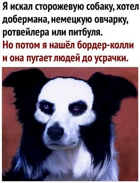 Кхе кхе..