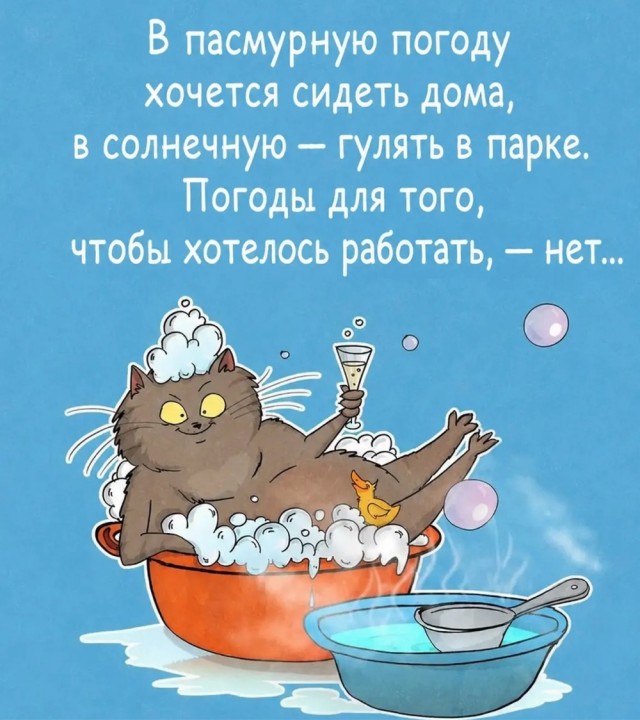 Веселое настроение в картинках 17.08.26
