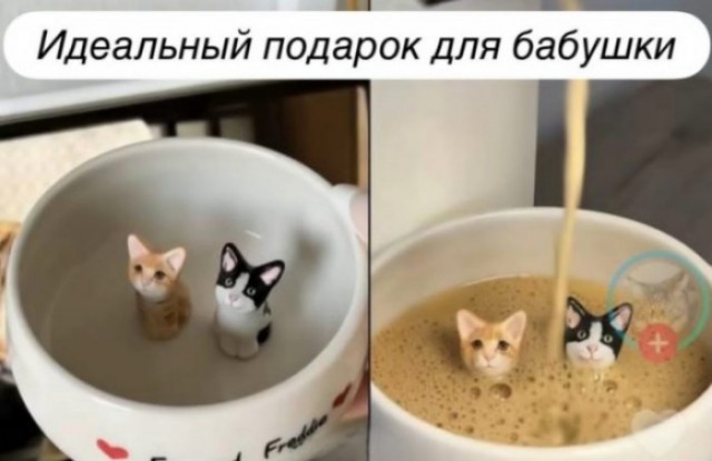 Веселые картинки в пятницу (21.08)