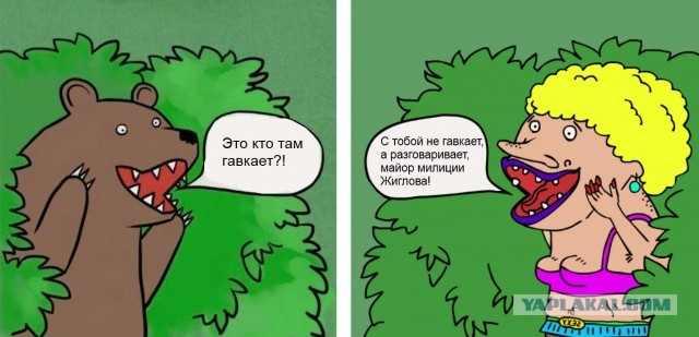 Украинские девушки - милиционерки