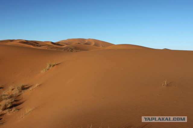 Новогодняя ночь в пустыне Сахара