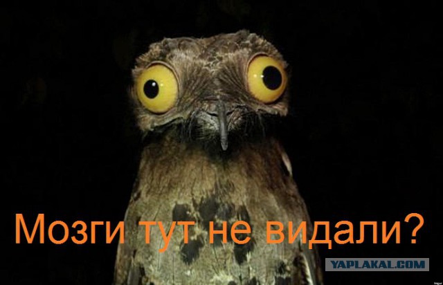 Это рэпчик!