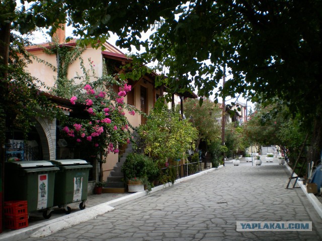 Счастливы, что они в Европе...