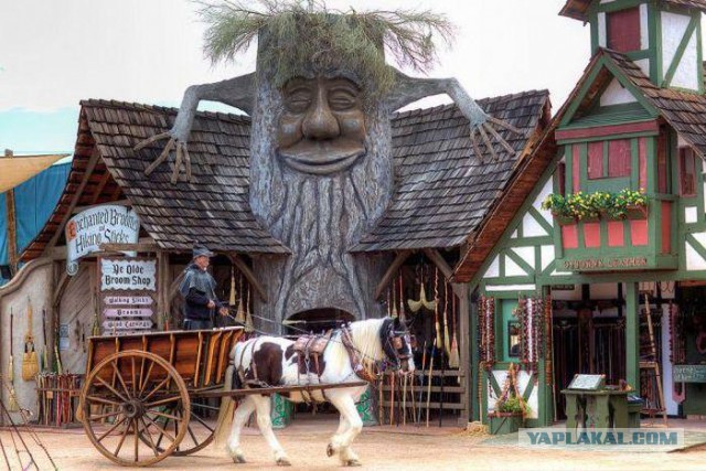 Подборка прикольных фото на начало мая