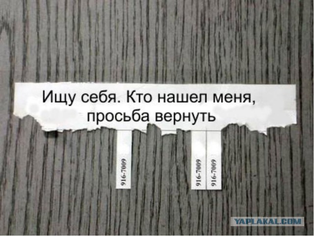 Добряки, плюсующие всех подряд
