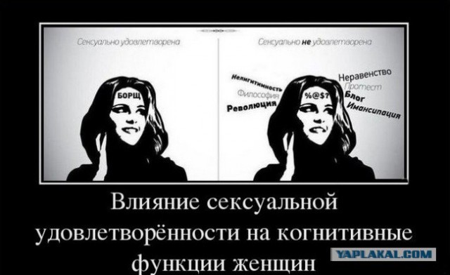 Овца с плакатами 404 в Питере