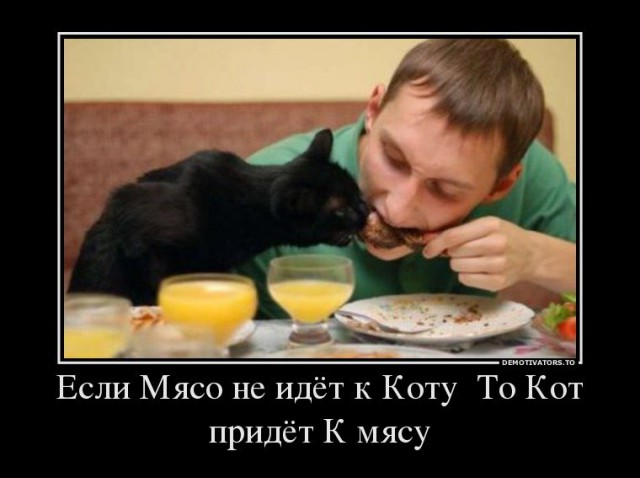 Демотиваторов пост