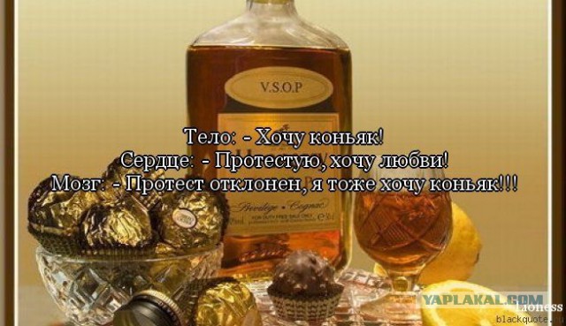 А вот и новые картинки!