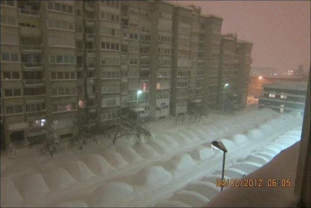 Авторолики