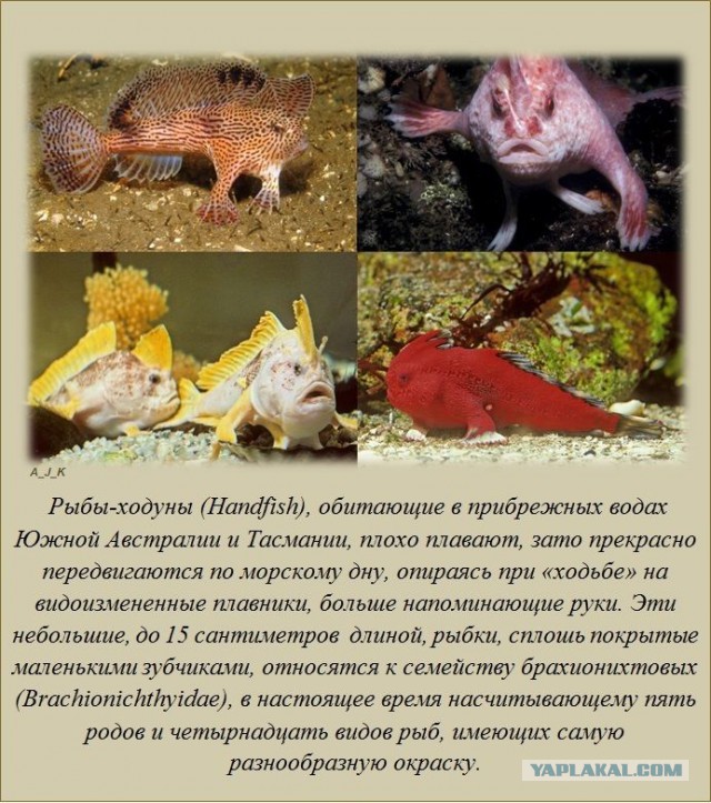 20 фактов обо всем