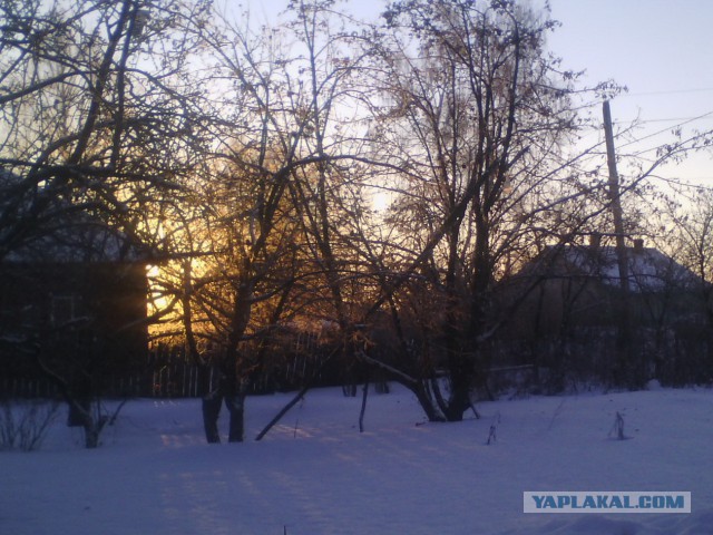 Утро в деревне