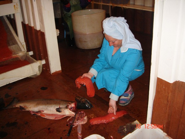 Путина 2005, Камчатка