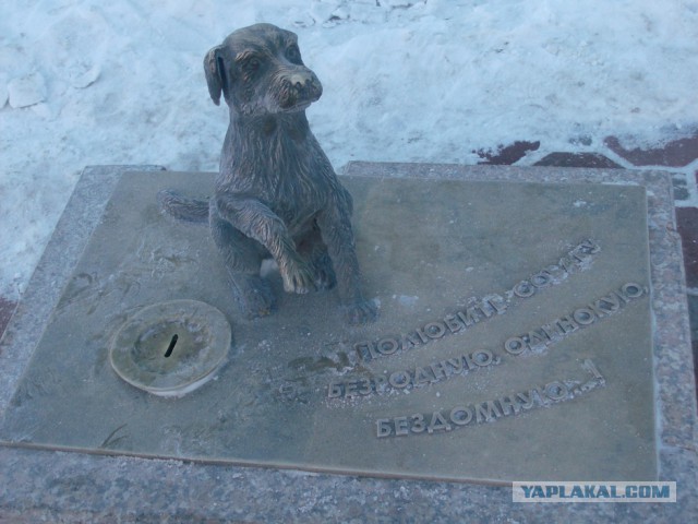 Как упал деревянный мост в Тюмени