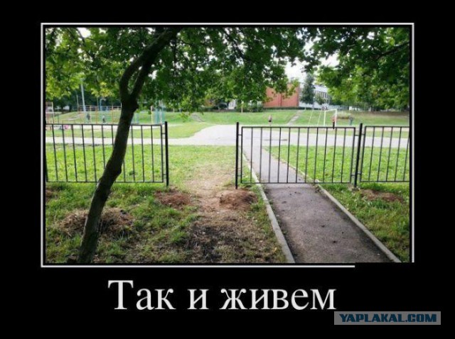 Демотиваторы на Субботу