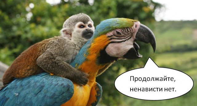 Супруг убитой девушки опубликовал обращение