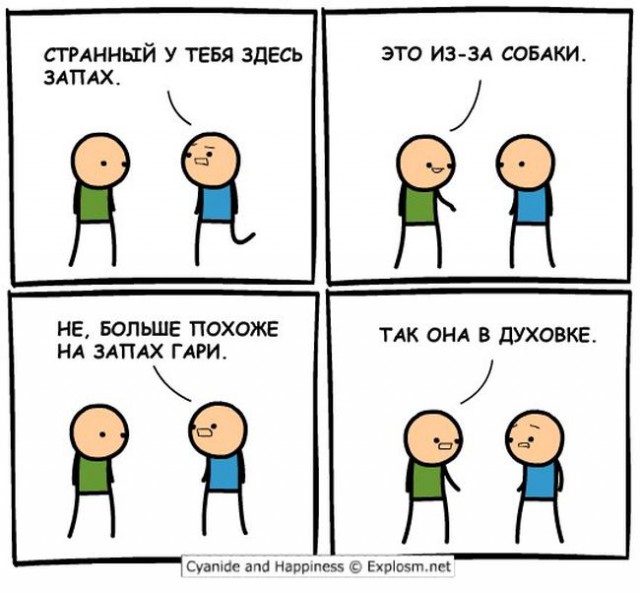 Подборка картинок из сети