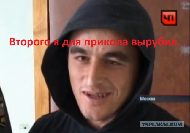 ДТП и слово..Сева и его Зигующий Егор. Опрос.