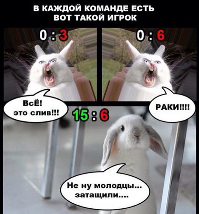 У каждого на работе есть такой. В каждом коллективе есть такие люди. Обезьяна в кресле. У каждого на работе есть такой. У каждого на работе есть такой.