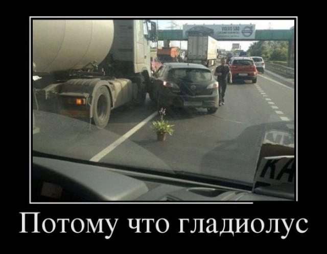 Картинки с сети