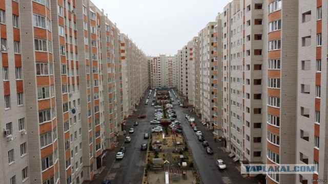 Замечательный сосед