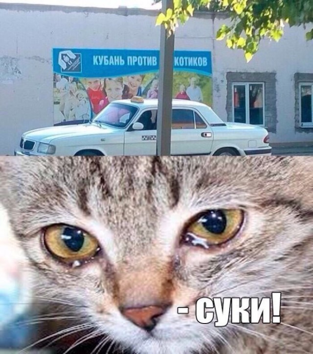 Подборка интересных и веселых картинок