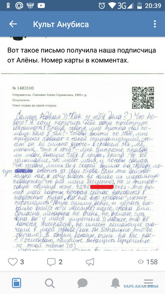Живодерки из Хабаровска
