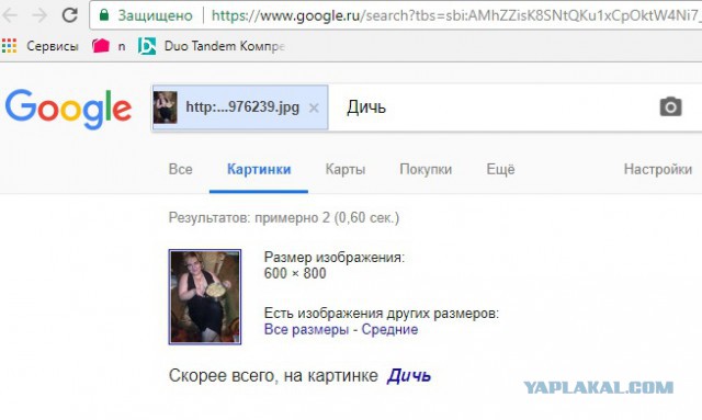 Дичь и копоть из максимально асоциальных сетей