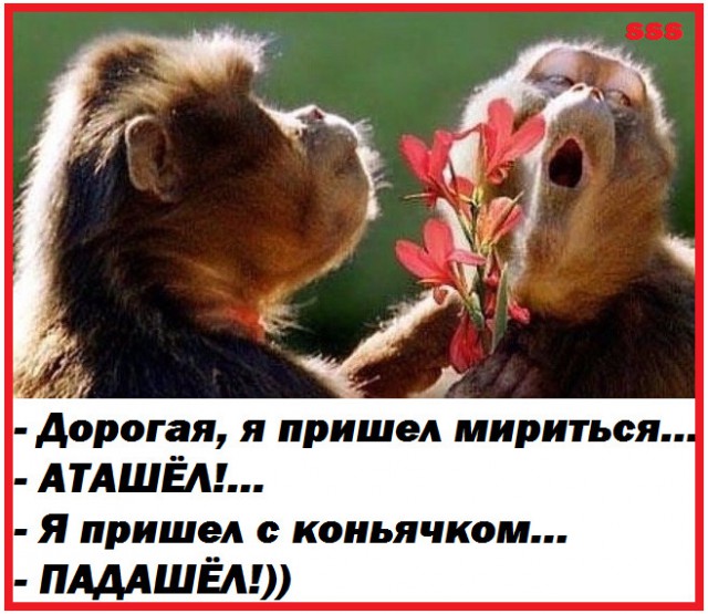 Работа не волк, но картинки сами себя не посмотрят!