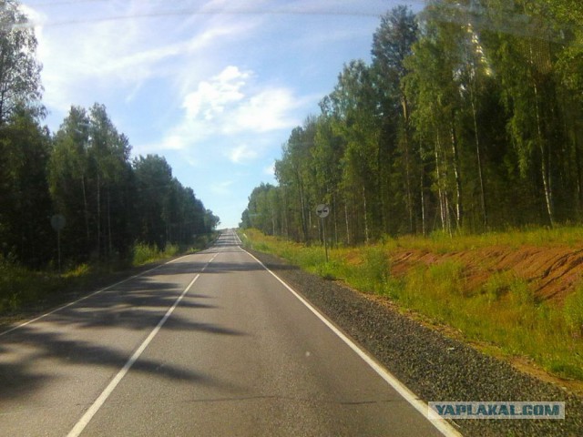 Командировка. В леса