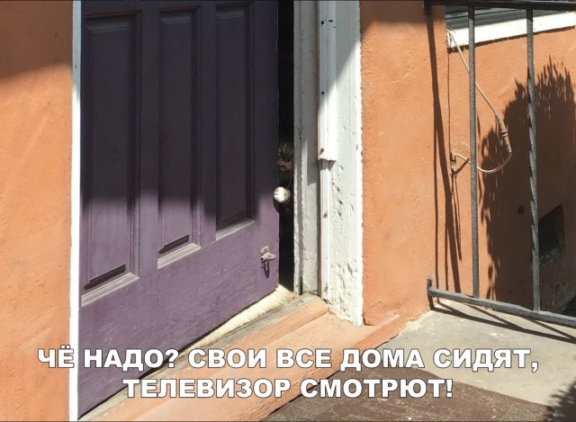 Нестандартный юмор