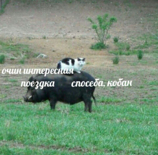 Немного картинок в этот понедельник