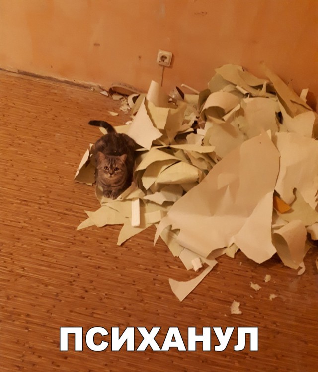 Прикольные картинки абавсём