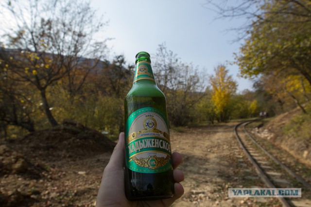 Топ хорошего пива