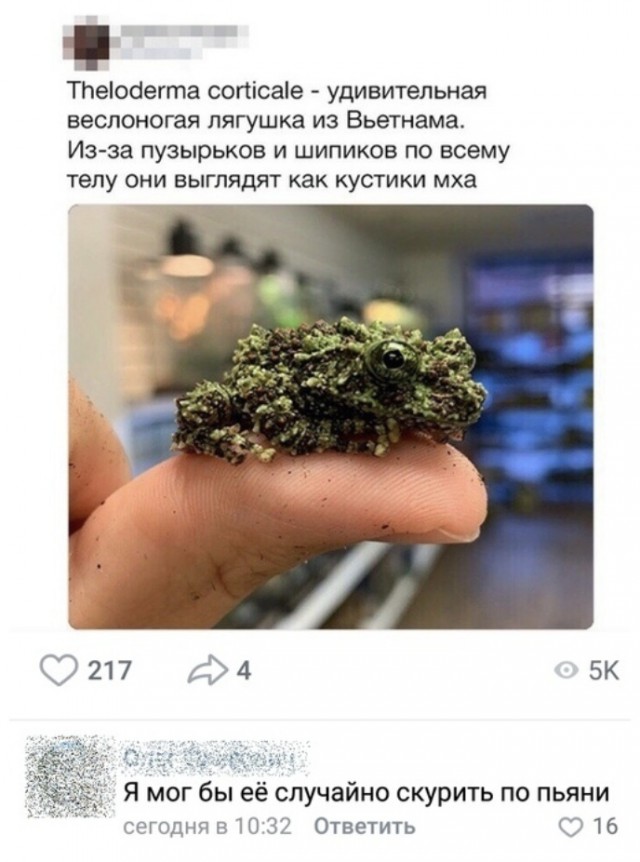 Последний алкопост