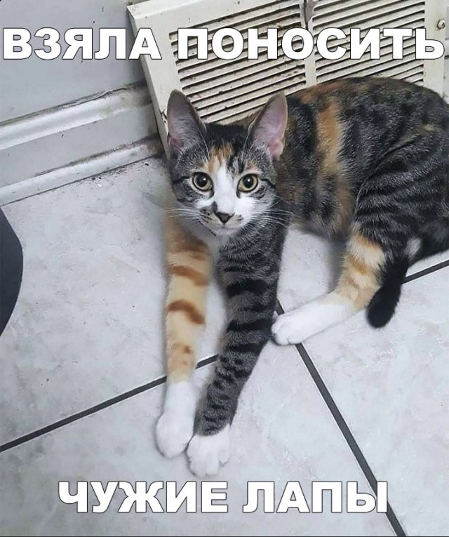 Нестандартный юмор