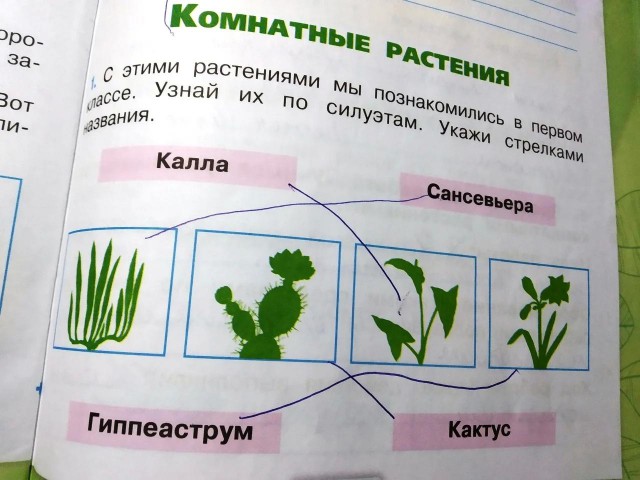 Учебники, по которым сейчас учат наших детей. Четырехлетний кошмар под названием «Окружающий мир».