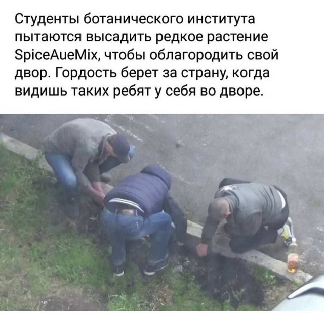 Скотсети и прочие интернеты 17.05.19