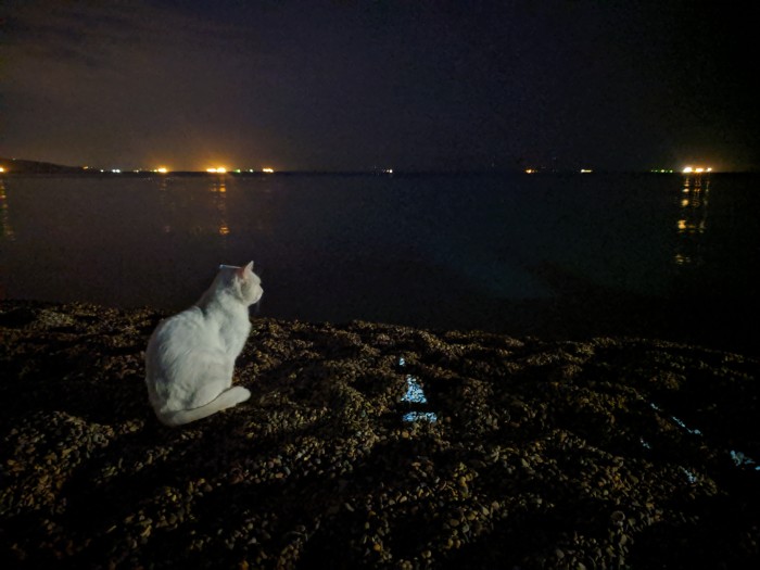 Сам себе фотограф