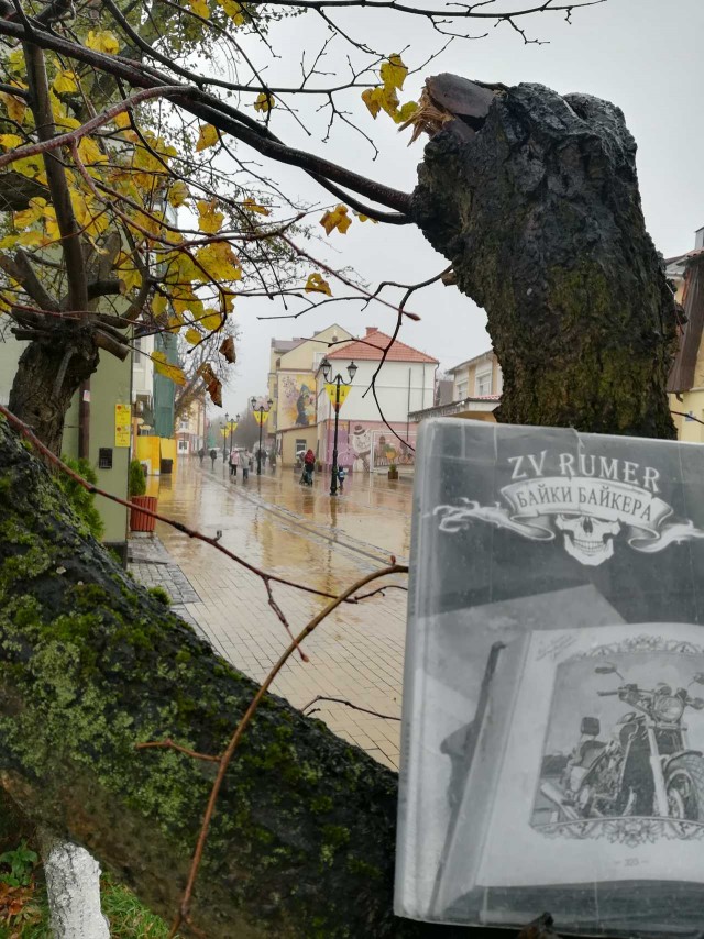ЯП вокруг света. Германия, Австралия, Китай...