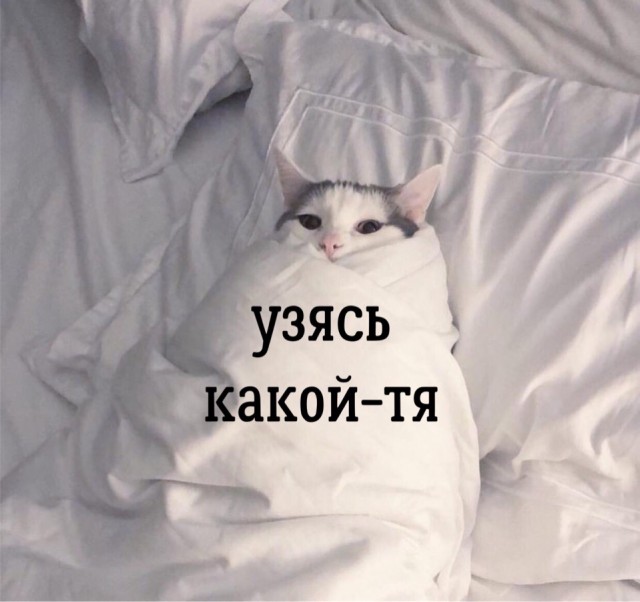 А с ней нескучно было бы в первую промозглую зимнюю ночь