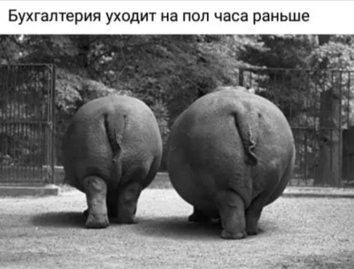 Бредзона 16.01.2020