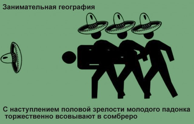 Фотожаба: Меня похитили