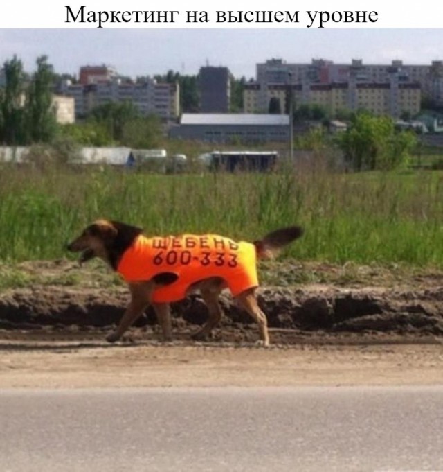 Немного упоротых картинок