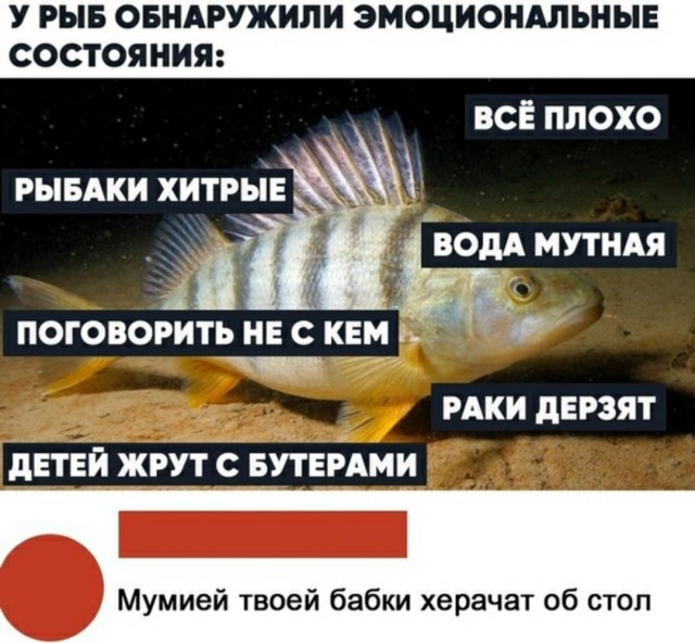 Юмор в картинках 30.08.20