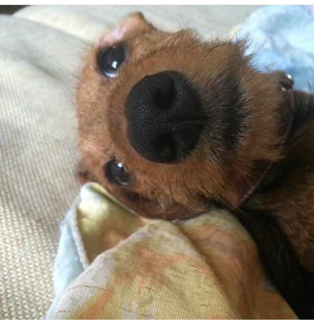 Сексолог рассказал, сколько мужчин бывает до брака у россиянок